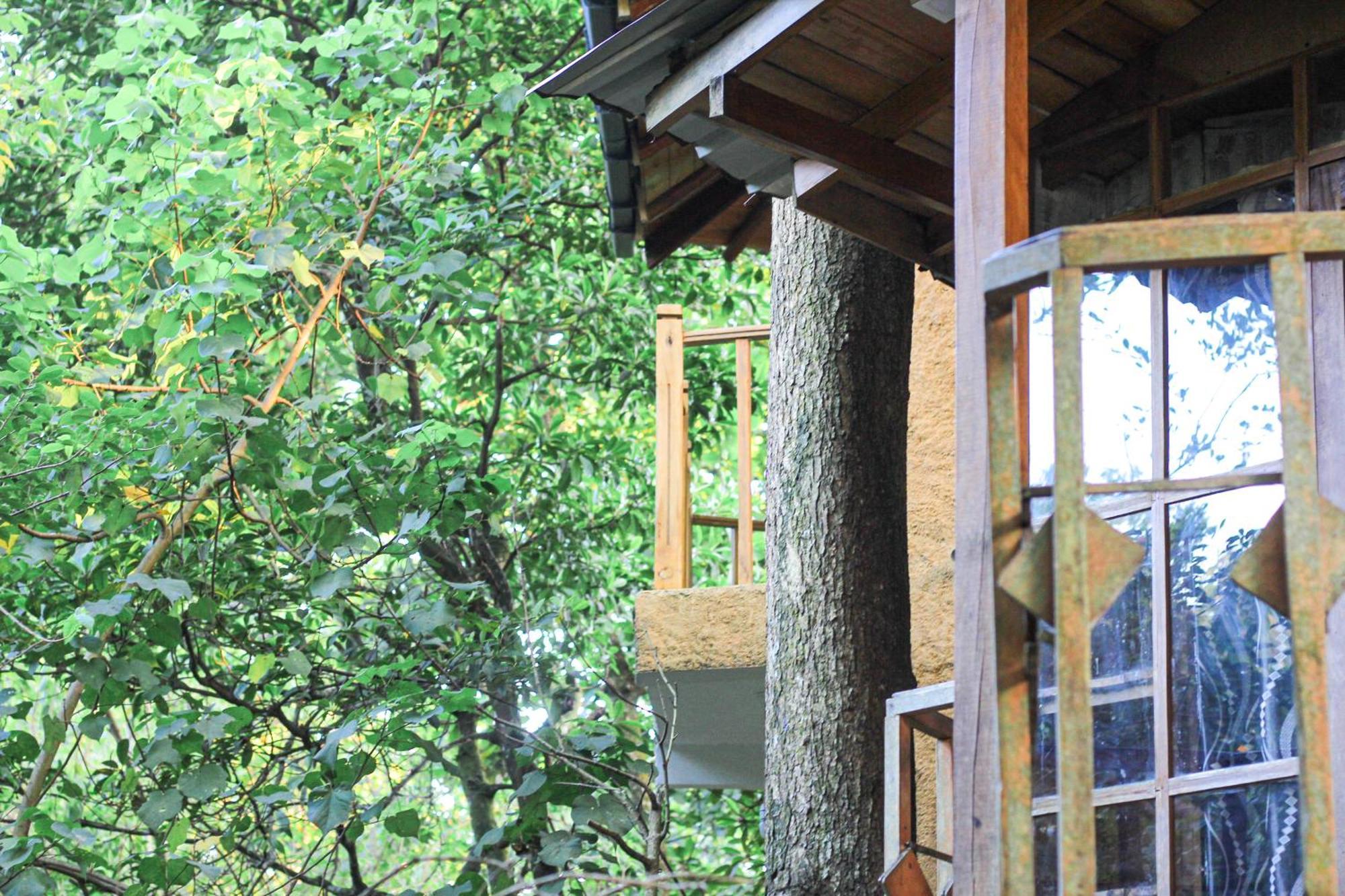 Seasons Four Eco Friendly Treehouse Guest House Matara Exterior photo